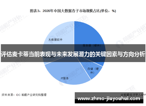 评估麦卡蒂当前表现与未来发展潜力的关键因素与方向分析