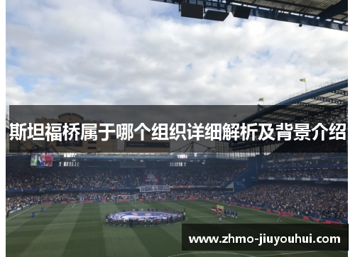 斯坦福桥属于哪个组织详细解析及背景介绍