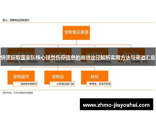 快速获取国家队核心球员伤停信息的高效途径解析实用方法与渠道汇总